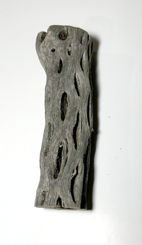 Cholla Wood Large