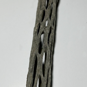Cholla Wood Small
