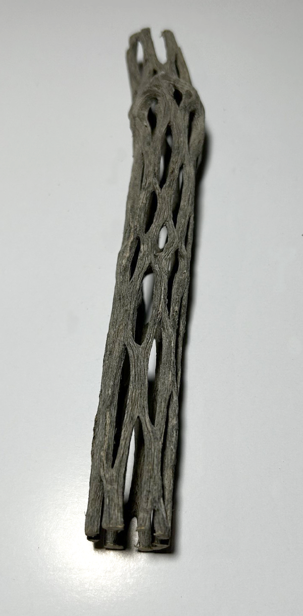 Cholla Wood Small